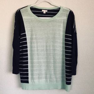 Gap Navy & Mint Stripe Sweater
